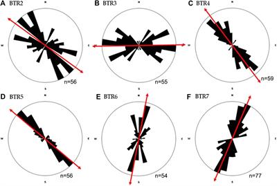 Preferred Pore Orientation as a Complement to Anisotropy of Magnetic Susceptibility: A Case Study of Lava Flows From Batur Volcano, Bali, Indonesia